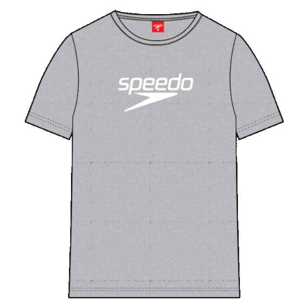 Big Logo Herren T-Shirt | Grau