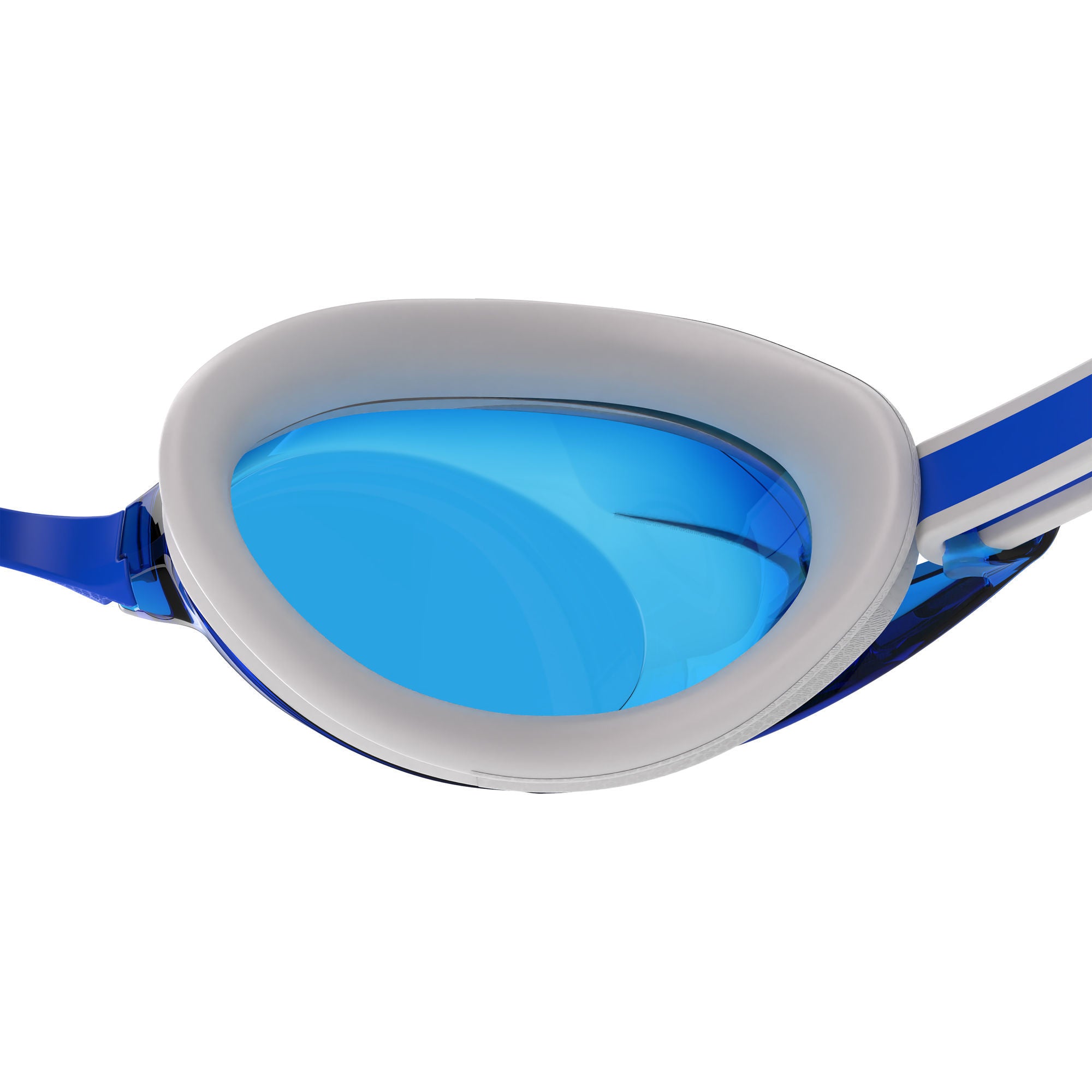 Vanquisher 3.0 Schwimmbrille | Blau